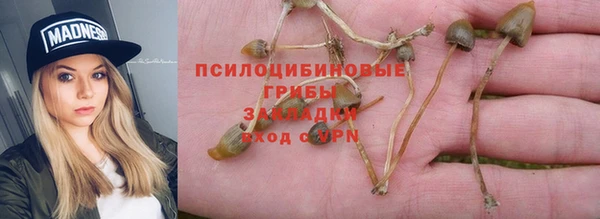 COCAINE Белокуриха
