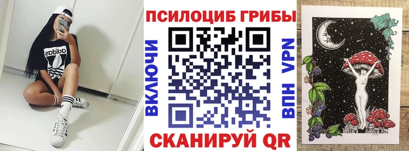 Галлюциногенные грибы Psilocybine cubensis  цена   Надым 